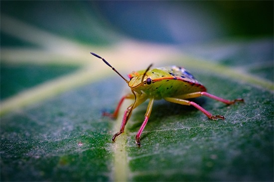 很简短很心酸的话爱情句子