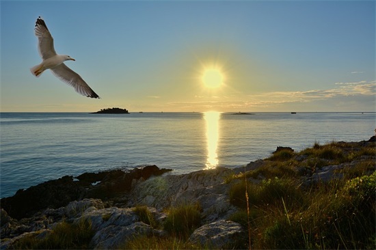 2026搞笑的句子让人笑喷 爆笑段子