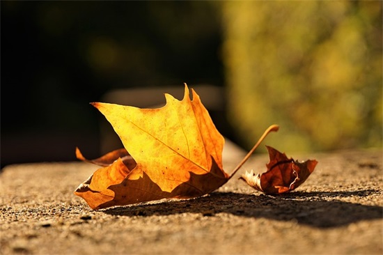 你努力的终会有回报的的励志句子