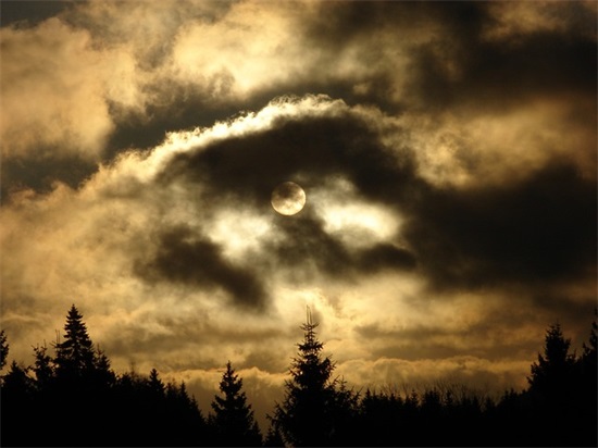 形容生活的句子