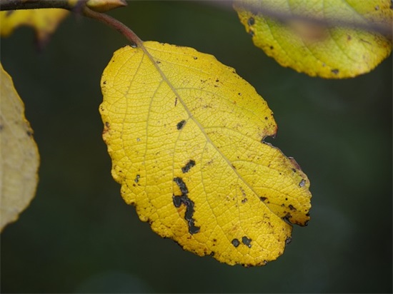 生日祝福简短唯美句子 生日祝福语经典句子