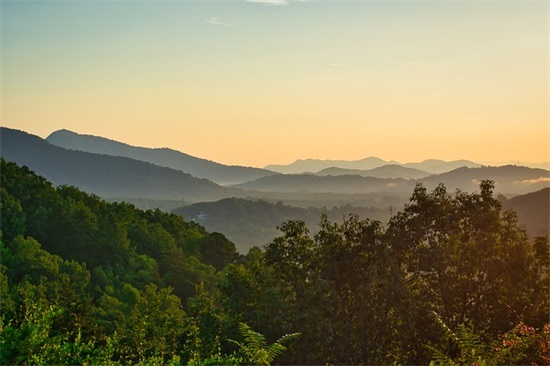 有货才有底气卖货的句子
