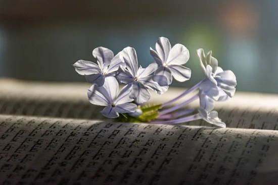 2026充满正能量的句子