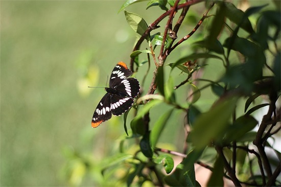 客户嫌弃产品贵的励志句子