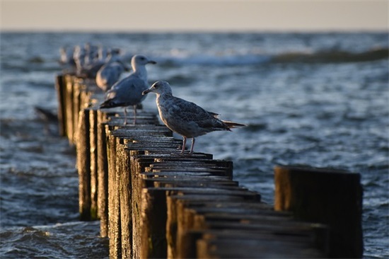 致回不去的青春句子