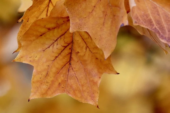 幼儿园快乐时光的句子 幼儿园欢乐时光句子
