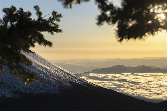 喜欢一座城市的句子