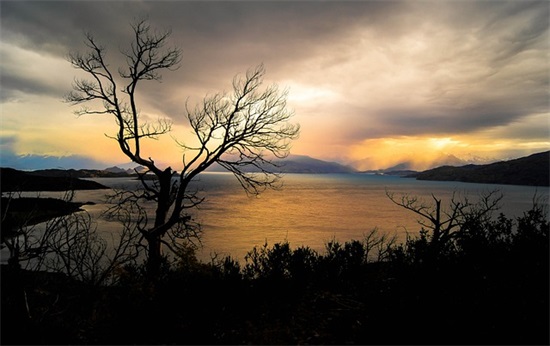 2026年圣诞节祝福语83句