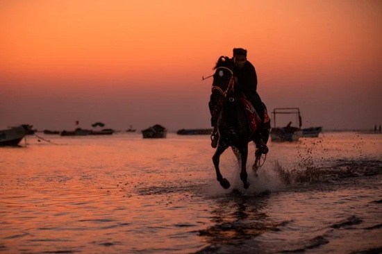 520节日祝福语81句