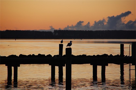 14岁青少年生日祝福语简短-86句