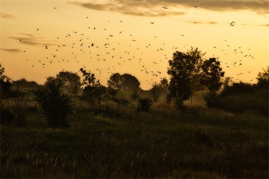 毕业时的祝福语 【毕业时的祝福语有哪些】