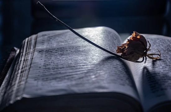 祝孙女生日快乐祝福语 女生生日快乐祝福语